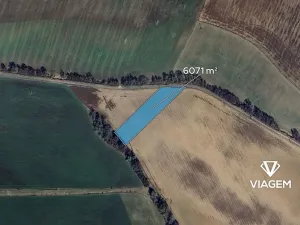 Prodej podílu pole, Pašovice, 505 m2