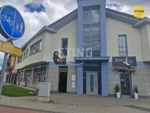 Pronájem kanceláře, Hodonín, Měšťanská, 200 m2