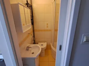 Pronájem bytu 1+1, Praha - Holešovice, Letohradská, 40 m2