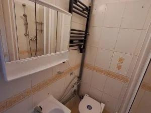 Pronájem bytu 1+1, Praha - Holešovice, Letohradská, 40 m2