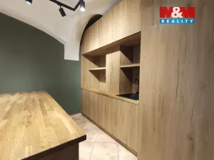 Pronájem obchodního prostoru, Slaný, Husova, 23 m2