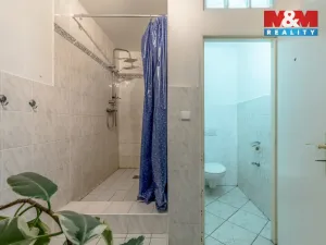 Prodej rodinného domu, Písková Lhota, 160 m2