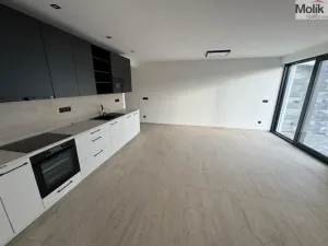 Pronájem rodinného domu, Most, Mátová, 97 m2
