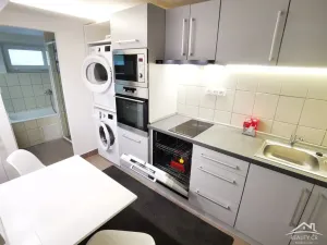 Pronájem bytu 1+1, Jihlava, Letní, 50 m2