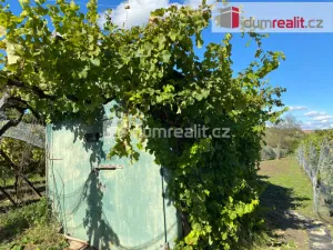 Pronájem - jiné, Tvrdonice, Kůt, 29 m2
