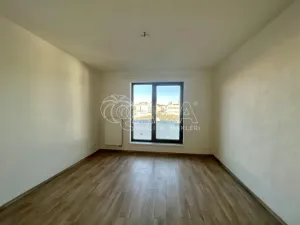 Pronájem bytu 2+kk, Plzeň - Východní Předměstí, Papírnická, 60 m2