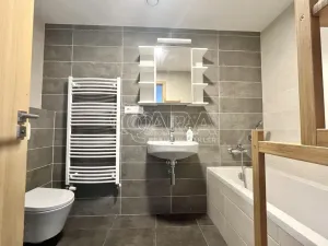 Pronájem bytu 2+kk, Plzeň - Východní Předměstí, Papírnická, 60 m2