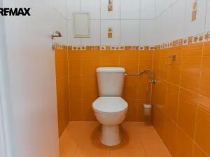 Pronájem bytu 3+kk, Holubice - Kozinec, Lesní, 65 m2