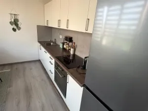 Prodej bytu 2+1, Most, Jaroslava Vrchlického, 54 m2