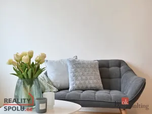 Prodej bytu 2+kk, Litvínov - Hamr, Hamerská, 40 m2