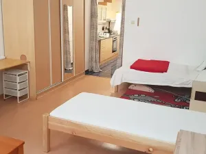 Pronájem bytu 1+1, Brno, Ptašínského, 40 m2