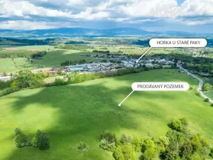 Prodej pole, Vidochov, 38750 m2