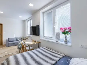 Pronájem bytu 1+kk, Zlín, Štefánikova, 24 m2