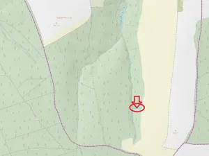 Prodej lesa, Podolí, 2289 m2