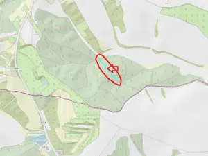 Prodej podílu lesa, Šitbořice, 1075 m2