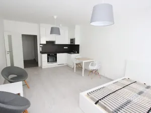 Pronájem bytu 1+kk, Praha - Karlín, Sokolovská, 34 m2