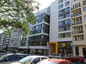 Pronájem bytu 1+kk, Praha - Karlín, Sokolovská, 34 m2