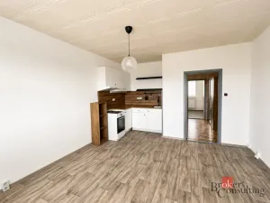 Pronájem bytu 1+1, Česká Lípa, Bardějovská, 41 m2