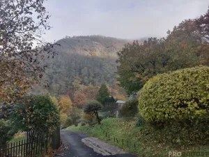 Prodej zahrady, Ústí nad Labem, Broskvoňová, 428 m2