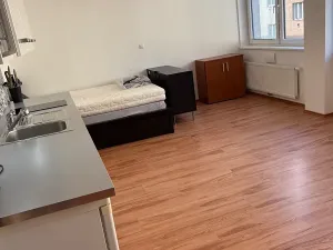 Pronájem bytu 1+kk, Praha - Nusle, Bartoškova, 36 m2