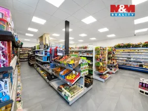 Prodej obchodního prostoru, Měrunice, 210 m2
