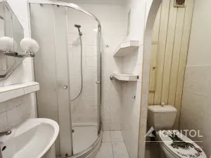 Pronájem bytu 1+kk, Praha - Michle, Podle Kačerova, 28 m2