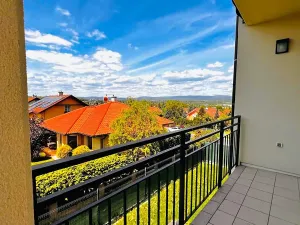 Prodej bytu 3+kk, Karlovy Vary, Svatošská, 92 m2