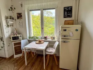 Pronájem bytu 1+1, Ústí nad Labem - Střekov, Střekovské nábřeží, 37 m2