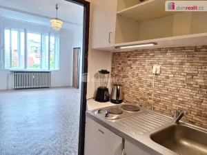 Pronájem bytu 1+kk, Praha - Vinohrady, Jana Masaryka, 28 m2