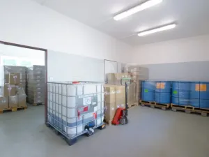 Prodej rodinného domu, Holasovice - Štemplovec, 295 m2
