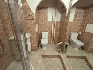Prodej bytu 1+kk, Frýdek-Místek, 17. listopadu, 23 m2