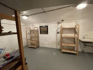 Pronájem výrobních prostor, Praha - Nusle, Oldřichova, 16 m2