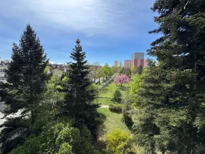 Pronájem bytu 1+kk, Praha - Záběhlice, Narcisová, 24 m2