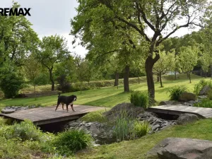 Prodej komerční nemovitosti, Dolany - Véska, 290 m2