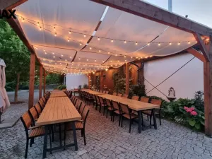 Prodej restaurace, Dolany - Véska, 382 m2