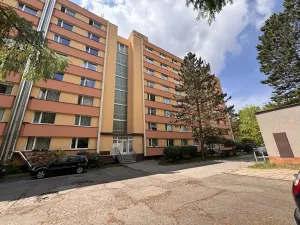 Prodej bytu 1+kk, Liberec, Březová alej, 22 m2