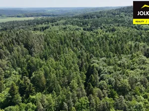 Prodej lesa, Vršovice, 13182 m2