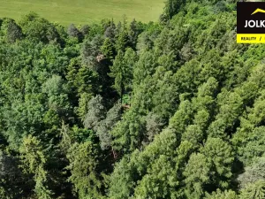 Prodej lesa, Vršovice, 13182 m2