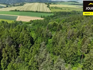 Prodej lesa, Vršovice, 13182 m2
