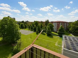 Pronájem bytu 3+1, Přerov, Petřivalského, 60 m2