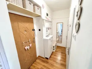 Prodej bytu 1+1, Ústí nad Labem - Střekov, Střekovské nábřeží, 37 m2