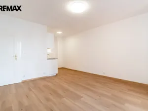 Prodej bytu 1+kk, Praha - Žižkov, Baranova, 34 m2