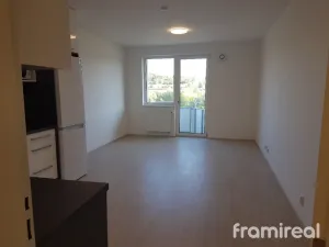 Pronájem bytu 1+kk, Brno, Reissigova, 34 m2