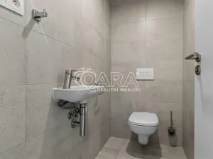 Pronájem bytu 3+kk, Praha - Karlín, Breitfeldova, 76 m2