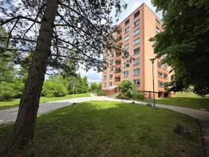 Prodej bytu 1+kk, Brno, Opálkova, 24 m2