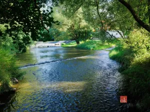 Prodej chaty, Blovice, Kamensko, 32 m2