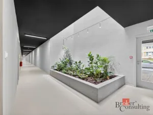 Pronájem bytu 1+kk, Plzeň - Východní Předměstí, 27 m2