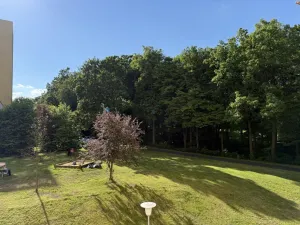 Pronájem bytu 3+kk, Ostrava - Poruba, U Školky, 59 m2