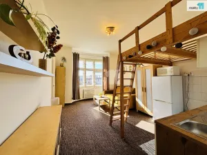 Pronájem bytu 1+kk, Praha - Vršovice, Slovinská, 24 m2