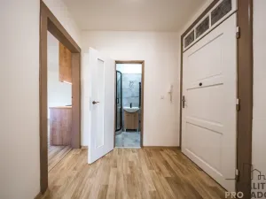Prodej bytu 3+kk, Veselí nad Moravou, 63 m2